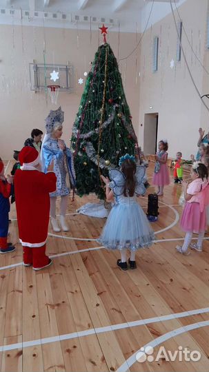 Дед Мороз и Снегурочка, аниматор на дом