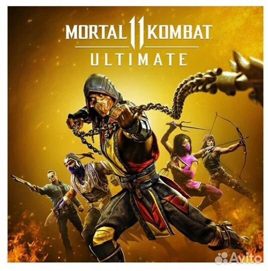 Mortal Kombat 11 PS4/PS5 RU