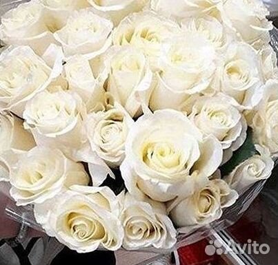 Высокие розы Букеты с доставкой