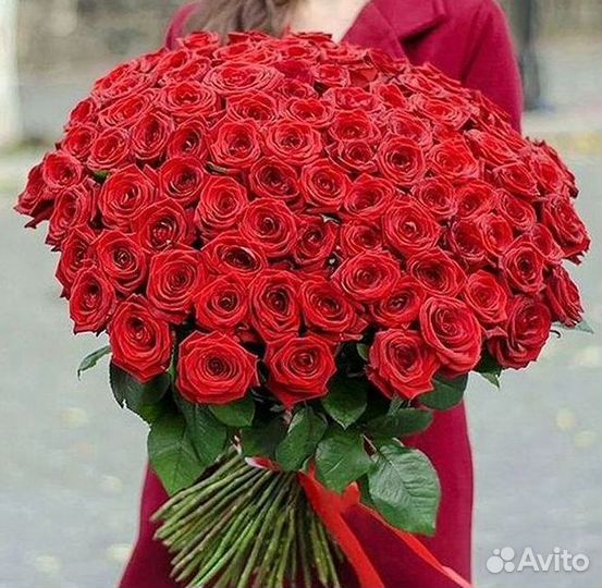 51 Роза, Букеты Цветы Розы 25 101 501 1001