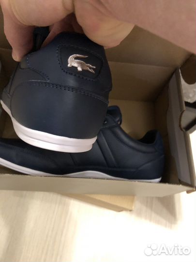Кеды Lacoste Chaymon