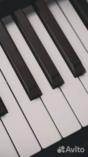 Написание аранжировки/битов/минусов