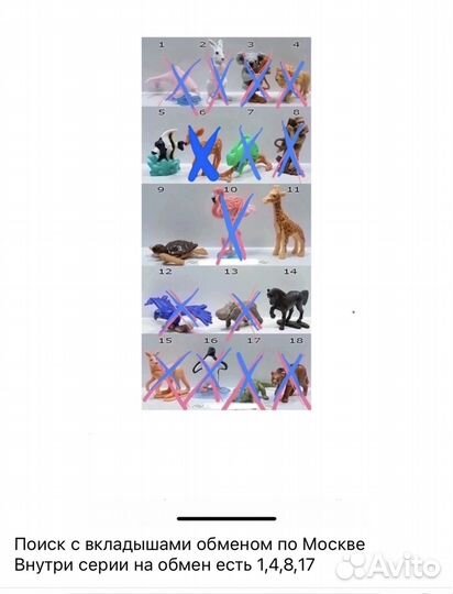 Обмен киндер натунс 2023 2024