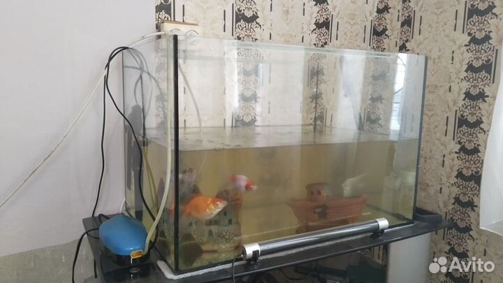 Аквариум 96 л