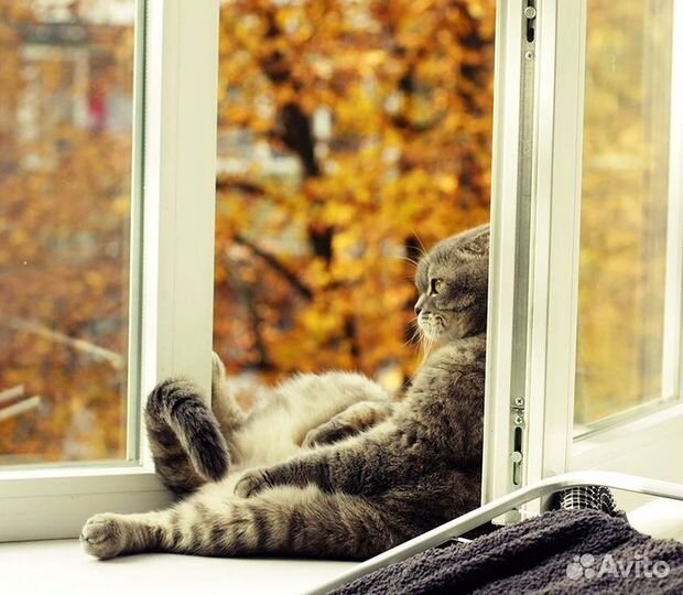 Пластиковые окна