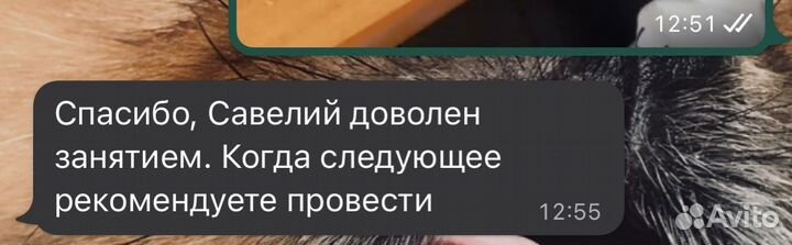 Логопед-дефектолог и репетитор