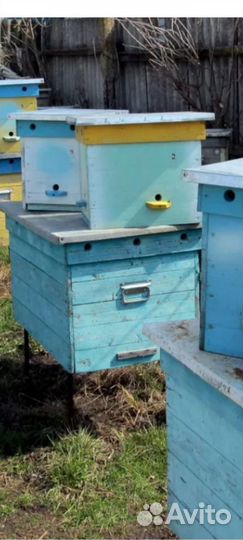 Продам ульи для пчел