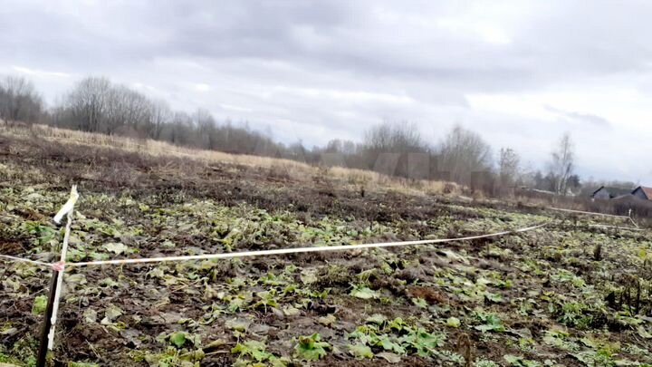 Участок 17 сот. (ИЖС)