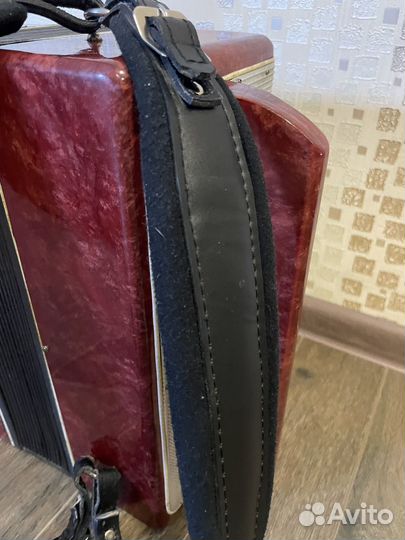 Баян Огонек 2