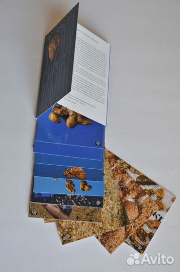 Набор открыток природное золото сибири