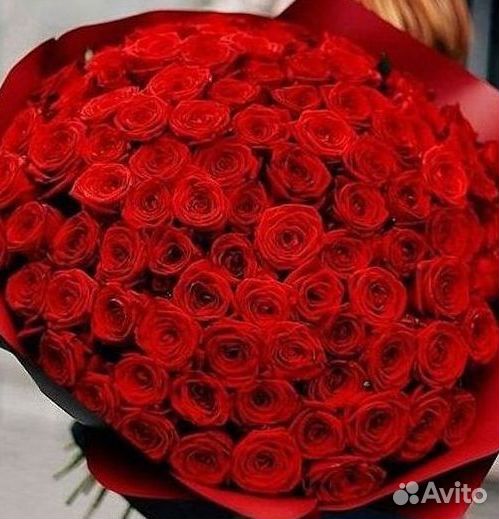 Высокие розы Гигантские розы с доставкой