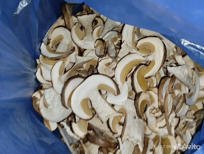 Грибы белые сушеные