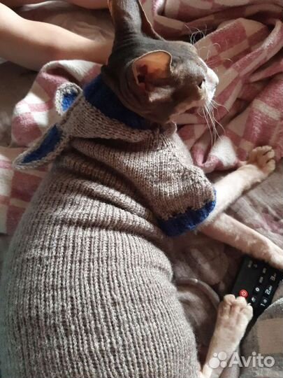 Вяжу на заказ небольшие вещи на людей и животных