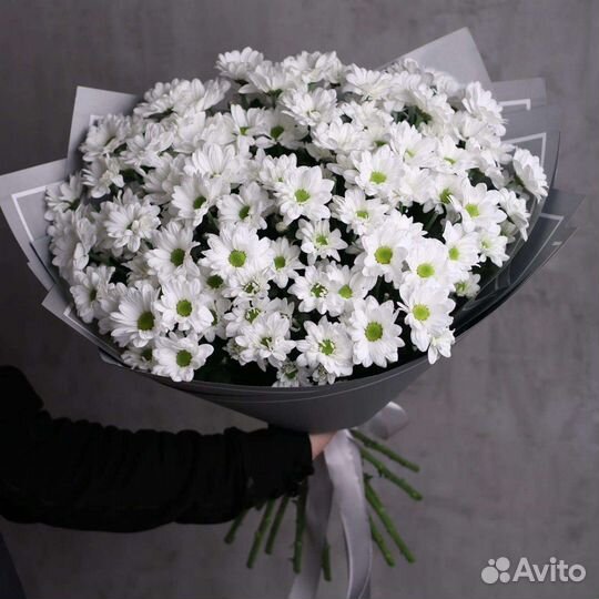 Букет из хризантем к 1 сентября