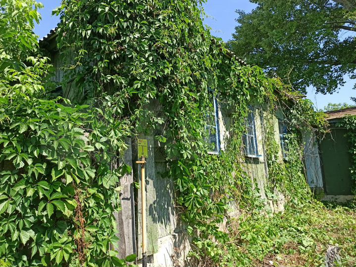 Дом 101 м² на участке 61 сот.