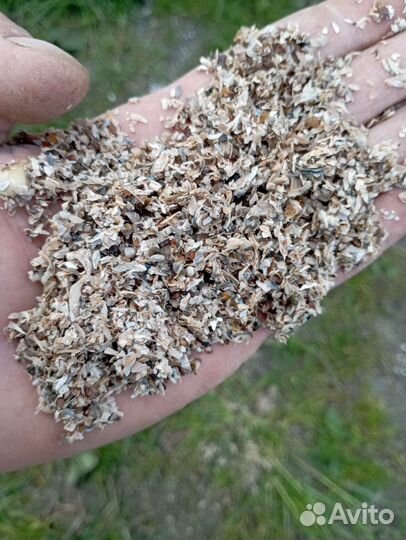 Ракушечник для кур