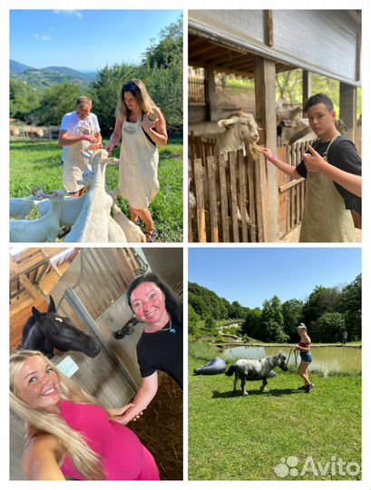 Экскурсия «голубая лагуна + экоферма»