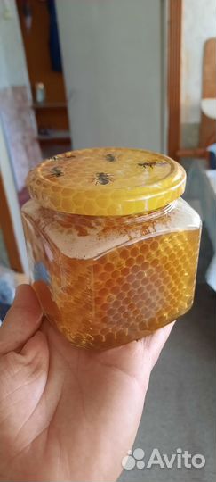 Мёд,Мёд в сотах,орехи с медом,подарочные наборы