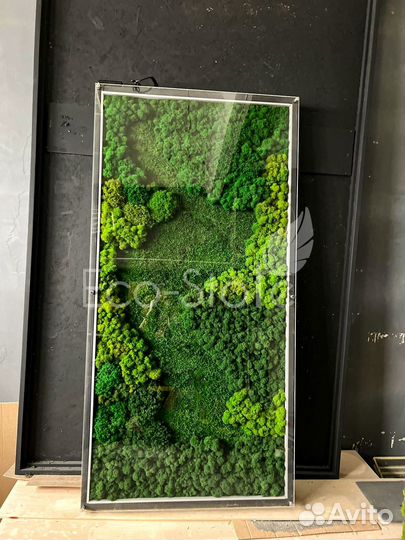 Фитостена из мха с подсветкой со стеклом