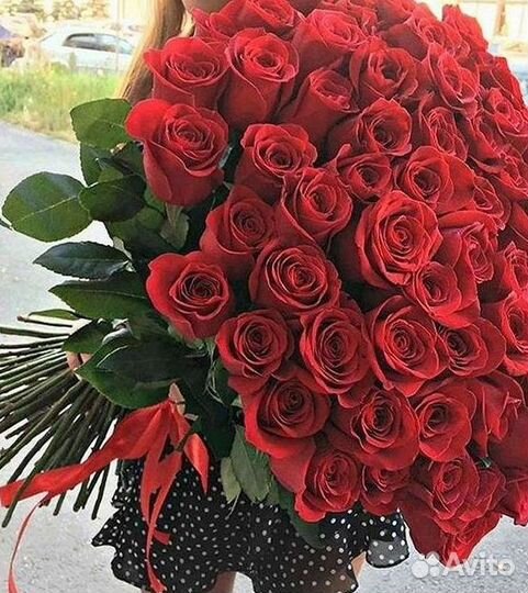 51 Роза, Букеты Цветы Розы 25 101 501 1001