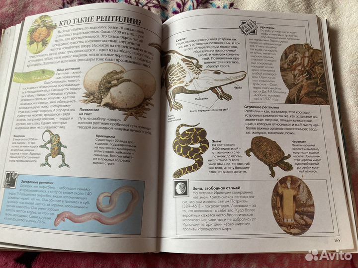 Детская книга эрудита