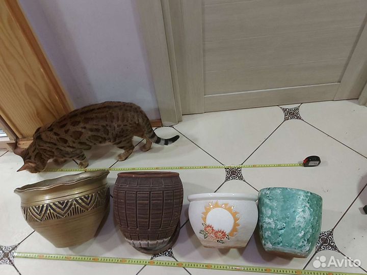 Горшки для цветов керамика и пластик