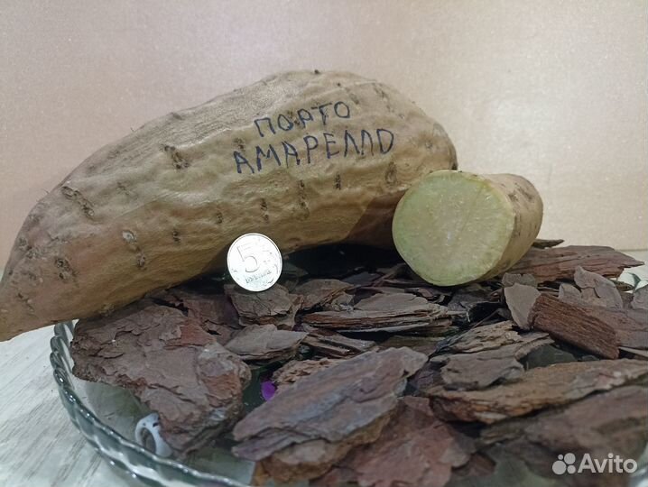 Рассада батата