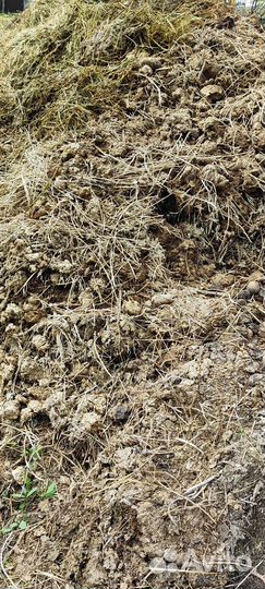 Навоз перегной бесплатно