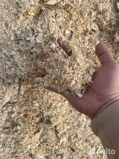 Шепа из под станка