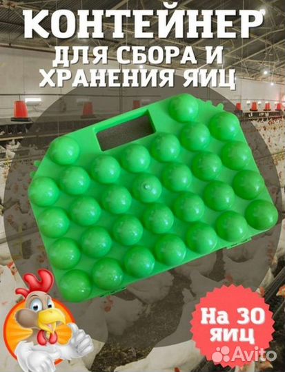 Контейнер для яиц