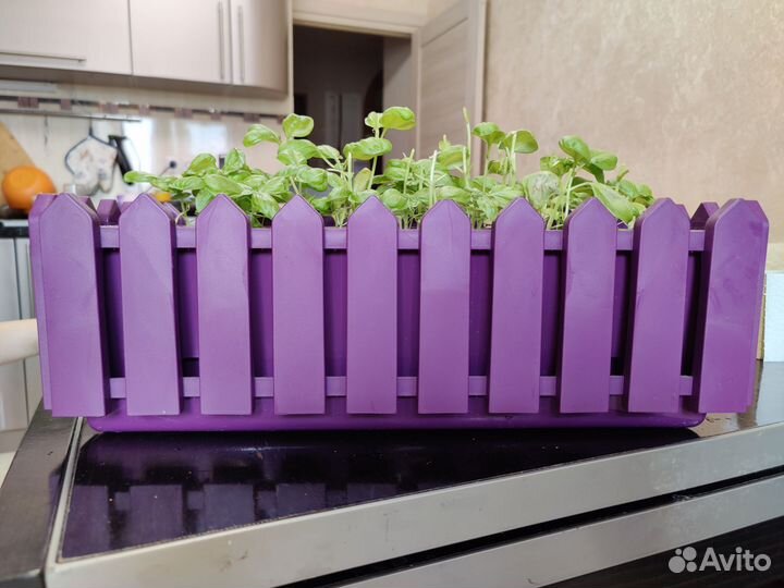 Ящик горшок кашпо для растений