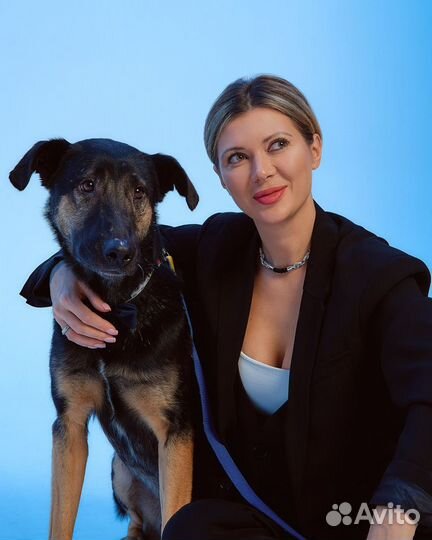 Отдам бесплатно собаку