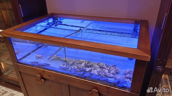 Аквариумы и морские витрины для устриц