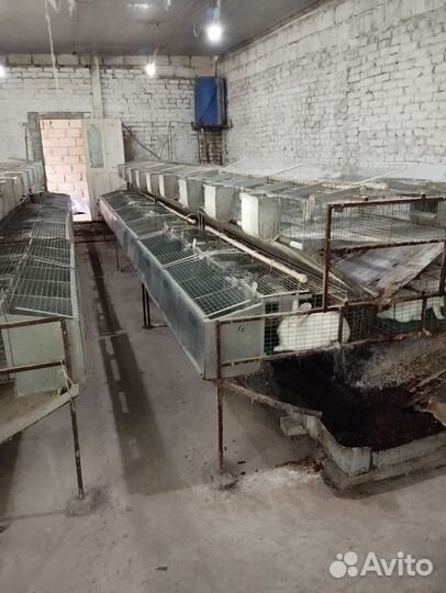 Клетки для кроликов