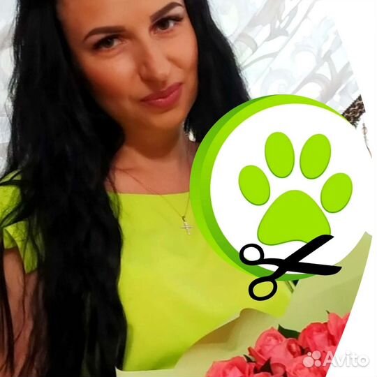 Груминг стрижка собак