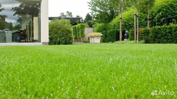 Рулонный газон 