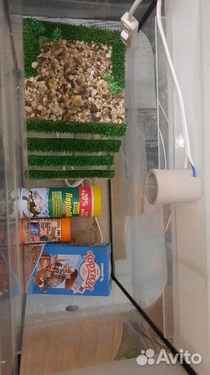 Аквариум террариум