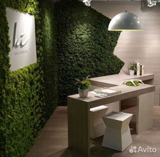 Фитостена из мха и растений