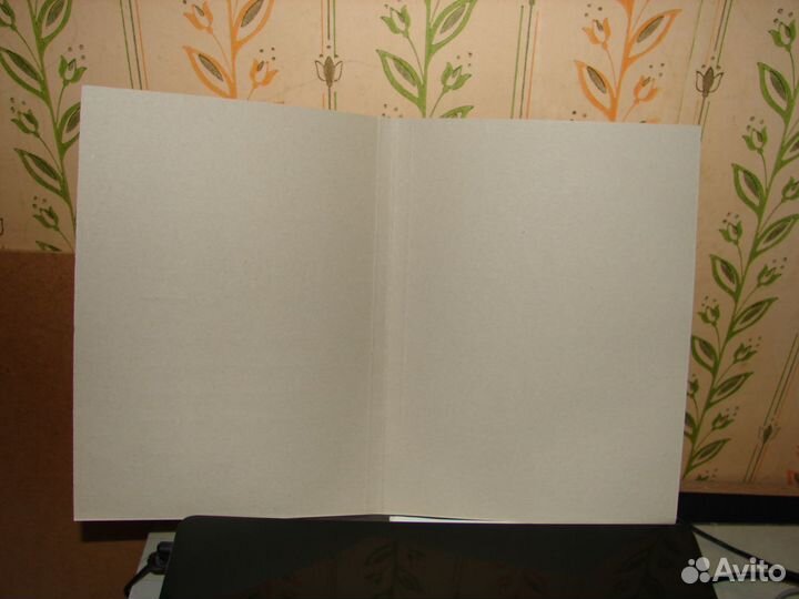 Скоросшиватель 