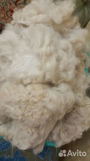 Оренбургский натуральный пух
