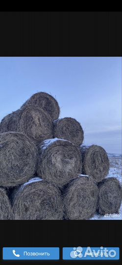 Продам сено в рулонах