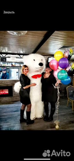 Поздравление Мишка белый/Аниматор/Ростовая кукла