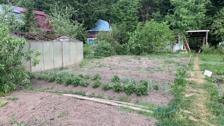 Участок 5 сот. (СНТ, ДНП)