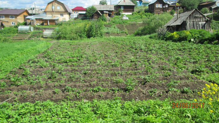 Дача 29 м² на участке 9 сот.