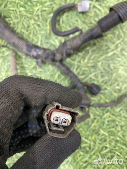 Проводка двс Toyota Avensis универсал 1.8 1zzfe