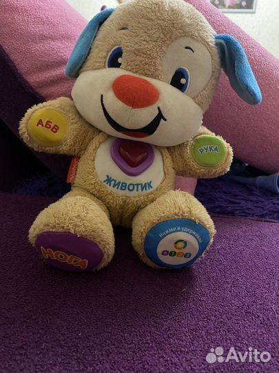 Интерактивная собака