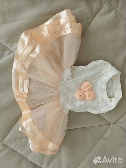 Одежда для маленьких собак