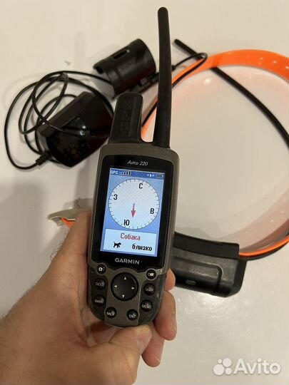 Навигатор Garmin Astro 220 с ошейником