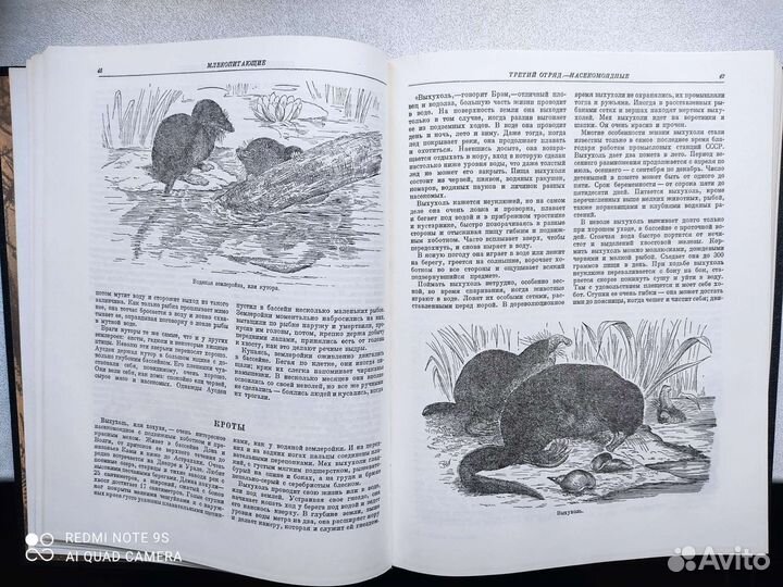 Книги о животных