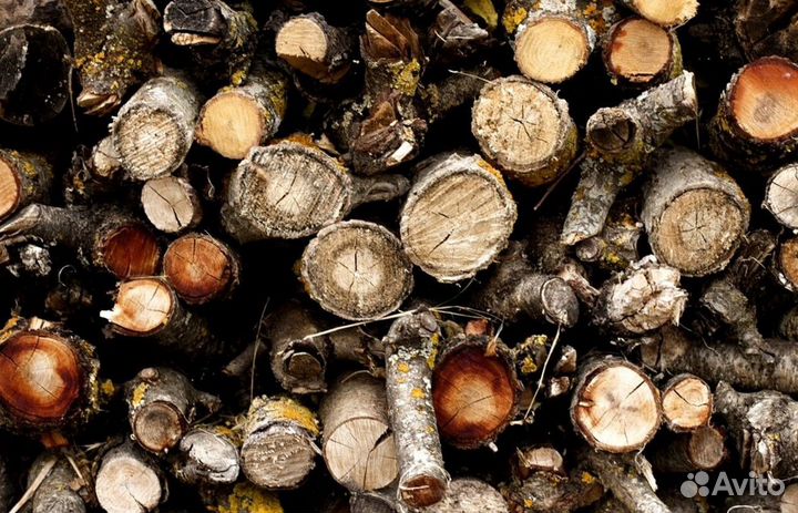 Дрова в СПБ